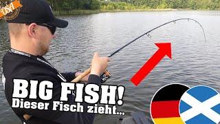 Diesen Fisch haben wir nicht erwartet! Starker Auftakt bei der EM 2024 (Deutschland vs. Schottland)