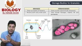 Inclusions in Bacteria| Storage Bodies| Granules