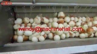 fruit and vegetable washer machine-onion skin remover|onion peeling machine