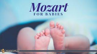 Mozart für Babys - Gehirnentwicklung & Schwangerschaftsmusik