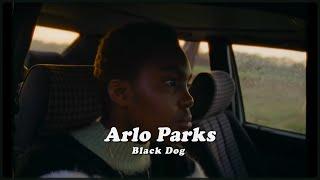 당신의 우울증 치료를 위해서 : Arlo Parks - Black Dog (한국어/해석/가사/lyrics)