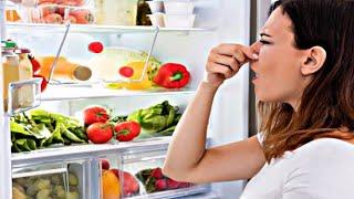 COME ELIMINARE I CATTIVI ODORI DAL FRIGO IN MODO NATURALE ED ECONOMICO