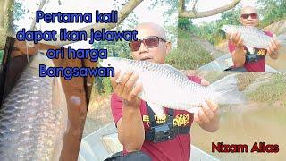 PERTAMA KALI DAPAT IKAN JELAWAT ORI HARGA KAYANGAN