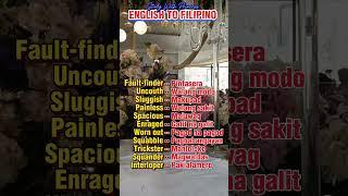 Let's Learn English to Filipino Translation #short #shortvideo  #englishtranslation  #vocabulary
