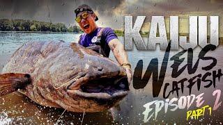 ตามล่าปลาดุกยักษ์ Giant Wels Catfish แห่งแม่น้ำโรน, ฝรั่งเศส Part 1 [Kaijin’s Kaiju Ep.2. Pt.1.]