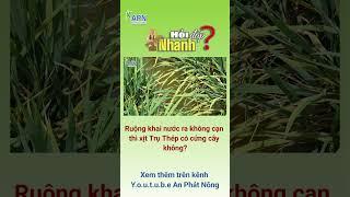APN - KHAI NƯỚC KHÔNG CẠN THÌ XỊT TRỤ THÉP CÓ CỨNG CÂY KHÔNG?