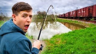 What Lives In This Muddy RAILWAY DITCH?