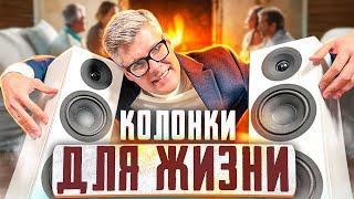 Лучшие колонки для жизни – System Audio Legend Silverback | Домашний кинотеатр без проводов