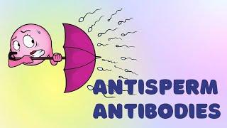 Antisperm Antibodies @DrOlenaBerezovska