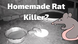 Homemade Rat killer?