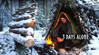 Finding Shelter in Snow! 3 Day WINTER Camping, Bushcraft Survival Shelter