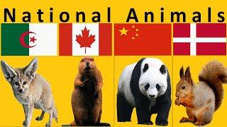 National Animal of Each Country