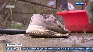 Изнасиловал и убил 5-летнюю девочку: в Сочи будут судить жителя Азербайджана