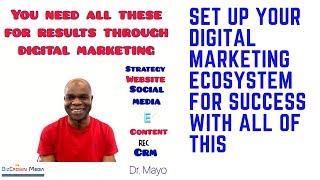 Digital Marketing Ecosystem - Dr. Mayo - BizCrown Media