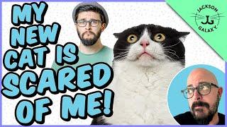 Help! My New Cat / Kitten is Scared of Me!!