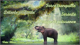 Méditation guidée - Détente profonde - Force tranquille, sérénité, ancrage et puissance - L’éléphant