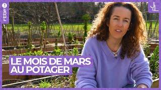 Le mois de mars au potager | Jardins et Loisirs