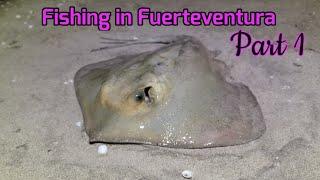 Sea Fishing in The Canaries, Fuerteventura | Part 1 |  Catching Fish in Caleta De Fuste