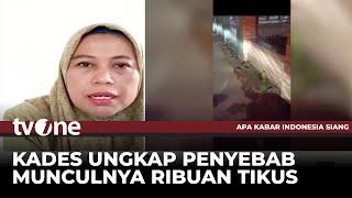 Cerita Kepala Desa Kutamakmur Ribuan Tikus Mengepung Permukiman | AKIS tvOne