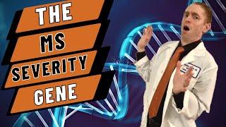 The MS Severity Gene Explained by Neurologist