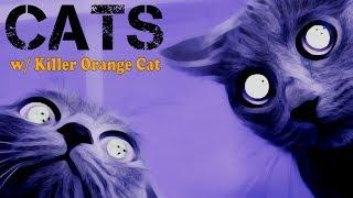 True Scary Stories: CATS w/Killer Orange Cat