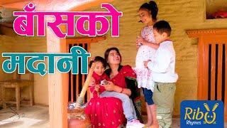 Basa ko Madani | बाँसको मदानी | Ribu Rhymes - Nepali Song