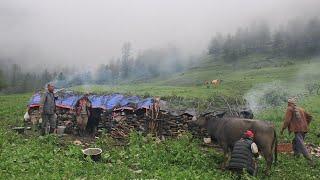 Living With Beautiful Nature in Highland of Karnali Nepal || Very Peaceful and Relaxing Environment