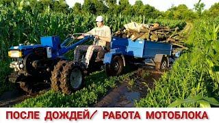 ПОЕЗДКА МОТОБЛОКОМ СО СПАРКОЙ ПОСЛЕ ДОЖДЕЙ/ A TRACTOR RIDE FOR FIREWOOD AFTER THE RAIN