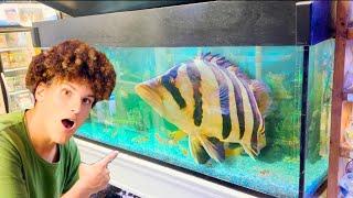 I Found PET STORE Filled with MONSTER FISH!