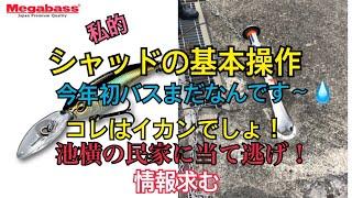 【バス釣り】そうだシャッドを使ってみよう / 池の横の民家で事件が！警察出動