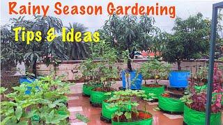 Rainy Season Gardening Tips & Ideas // Plants Care In Rainy Season