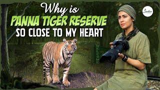 Why Panna Tiger Reserve Is So Close To My Heart | Panna Tiger Reserve 4K | Sadaa Wild Stories