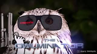 The Owlminator - life is better with doodles - Ricky Doodles