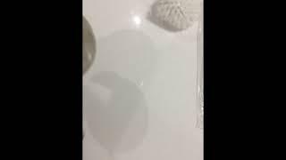toilet spy camera brush for bathron