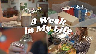 Week in the Life of a Homeschool Mom of 4 || Chickens, Thrifting, Homemaking