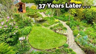 A Wildlife Garden 37 Years In The Making - The Dedicated David Crossley