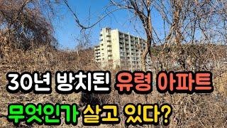 수상하고 특이한 방치된 유령 아파트에 무엇인가 살고있다 | 현세에 이런 곳이 있을까?