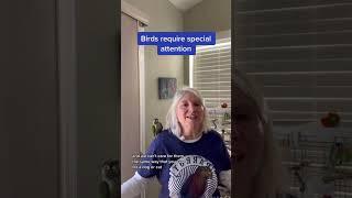 This Video Is For NEW Bird Owners