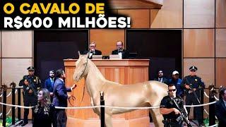 O CAVALO MAIS CARO JÁ VENDIDO NA HISTÓRIA! PORQUE TÃO CARO?