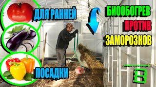 БИООБОГРЕВ В ТЕПЛИЦЕ ДЛЯ РАННЕЙ ПОСАДКИ ОГУРЦОВ, ПОМИДОРОВ, ПЕРЦЕВ. ЭКО-САД ВЫХОДНОГО ДНЯ 23-6