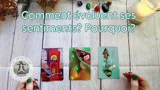 Vers quoi évoluent ses sentiments? Pourquoi? Guidance sentimentale