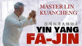 Yin Yang Fa-Jin | Master Lin Kuancheng 林冠澄 | Season 3 Ep 5