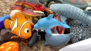 Toy Sea Animals Learn Sea Creature Names