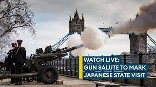 British Army fires 41 gun salute at Tower of London for Japanese state visit