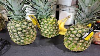 How to Grow Pineapples from Store Bought Pineapples????