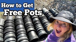 Container Gardening, How to Get Free Pots for Growing a Portable Vegetable Garden in Flower Pots