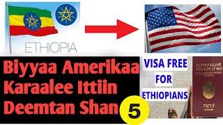 Biyyaa Ameerikaa Karaalee Ittiin Deemtan Shan (5) | 5 ways to come to america |