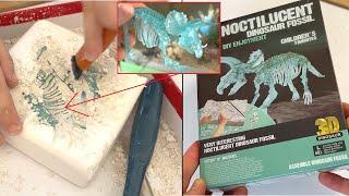 Children Archaeologists Excavations (Dinosaur Fossil)