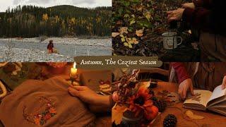 ️Autumn, The Coziest Season 