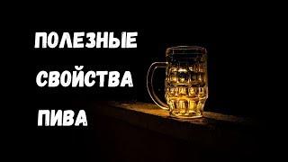 Полезные Свойства Пива